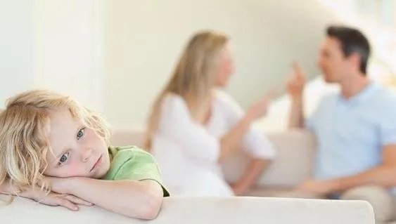 上海父子放大镜实验烧毁2000平草坪,这对父子的做法是否合法?