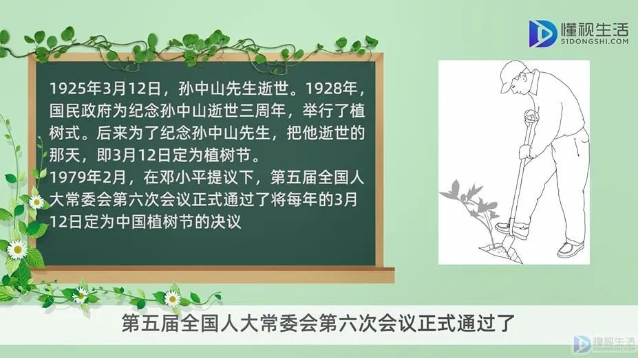 3.12植树节的由来