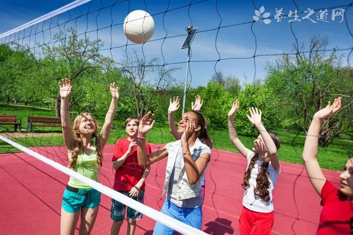 草果是什么做的 草果是果实