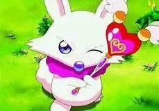 少儿频道的动漫世界播过哪些动画片？