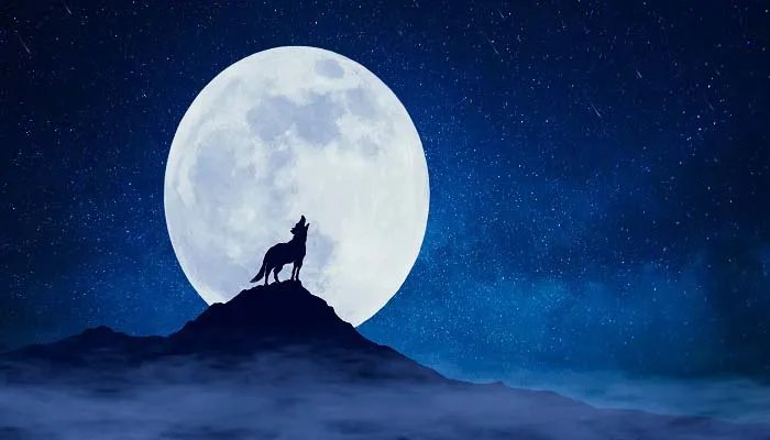 东郭先生和狼的故事 东郭与狼的故事简介