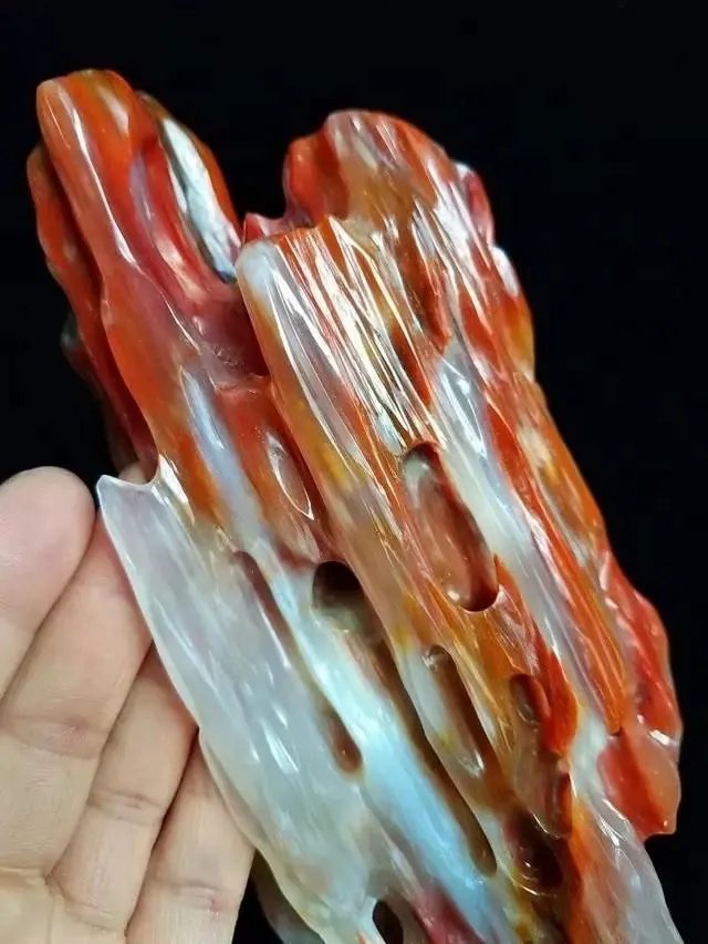 真正的树化石价格