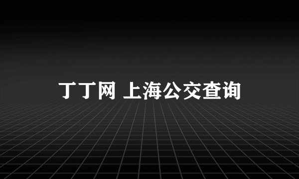 丁丁网 上海公交查询