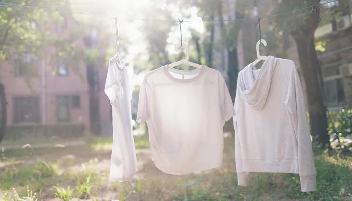 粘胶纤维是什么面料 粘胶纤维是啥面料