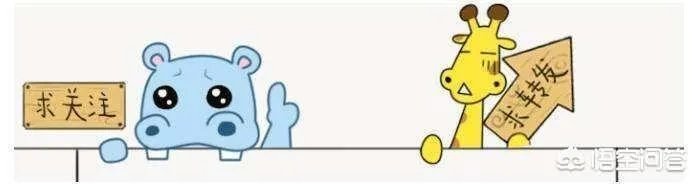 055是国产的吗？