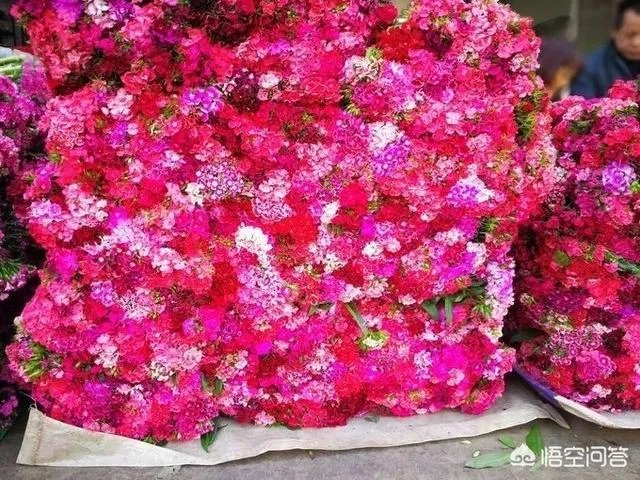 云南有哪些大的鲜花市场？