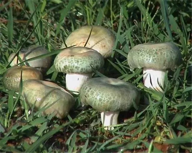 昆明，你就是个P！