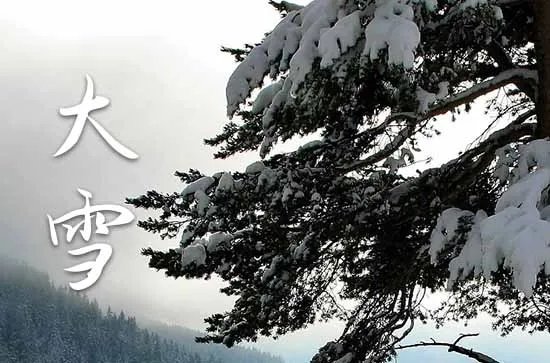 我国第一座国家森林公园是