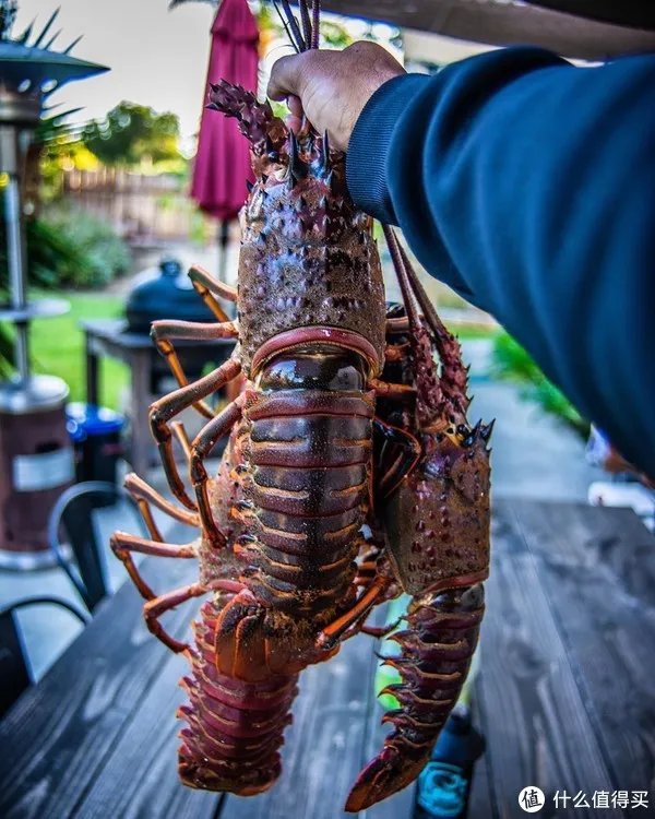 龙虾怎么做好吃