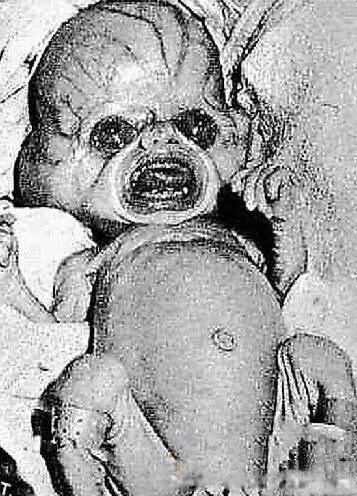 外星人长什么样子真实图片 最真实的外星人照片