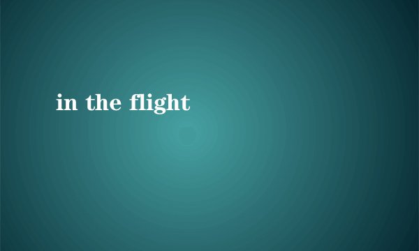 in the flight
