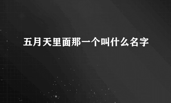 五月天里面那一个叫什么名字