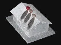 眼睛看到也不一定是真的 十大视觉错误图片