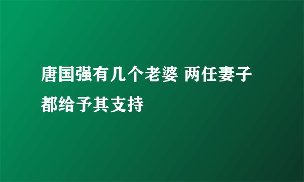 唐国强有几个老婆 两任妻子都给予其支持