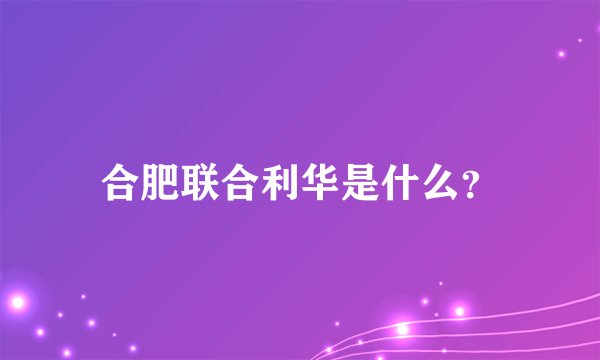 合肥联合利华是什么？