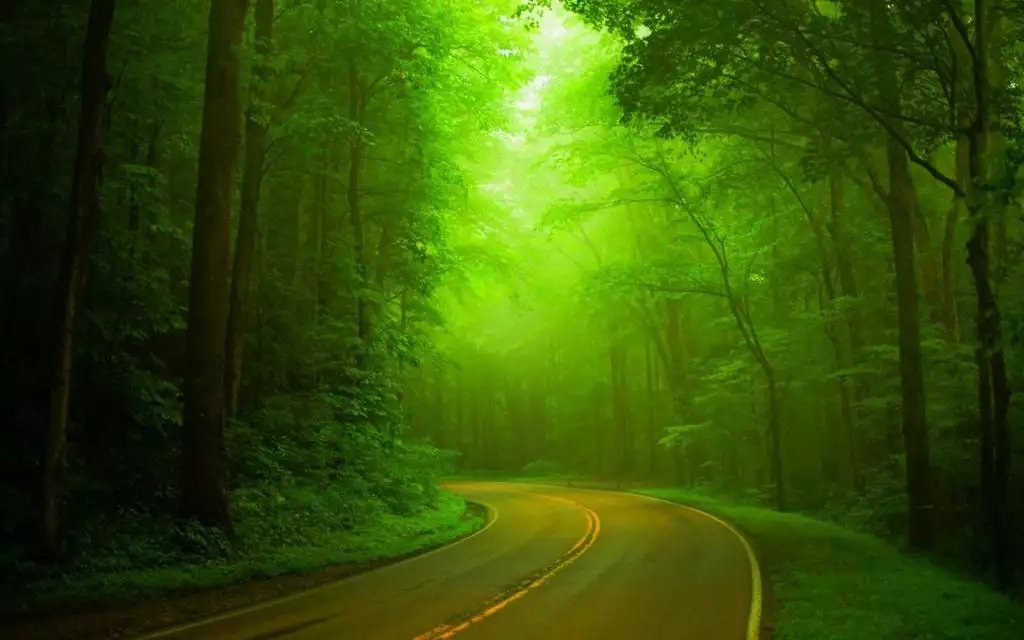 十一月初一出生的女孩什么命，十一月初一出生的人命运如何？