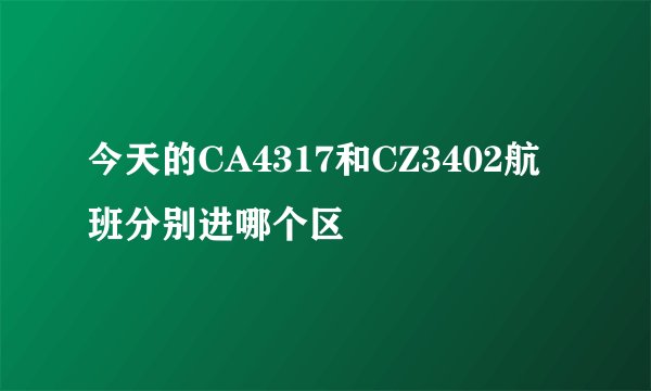今天的CA4317和CZ3402航班分别进哪个区