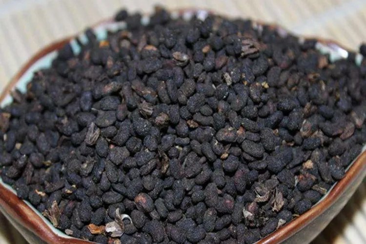 故纸是什么中药图片