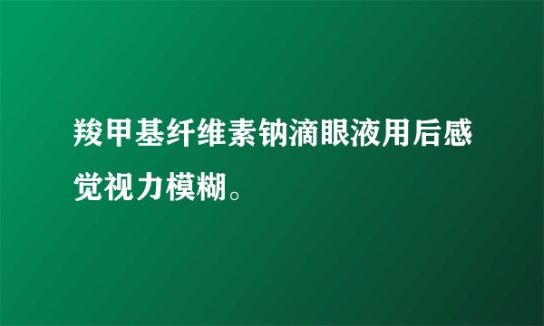 羧甲基纤维素钠滴眼液用后感觉视力模糊。