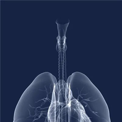 得了乙肝有什么症状吗?