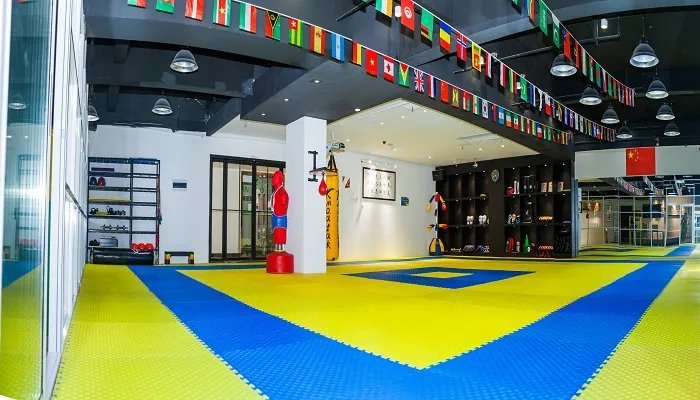 跆拳道等级是怎么划分的