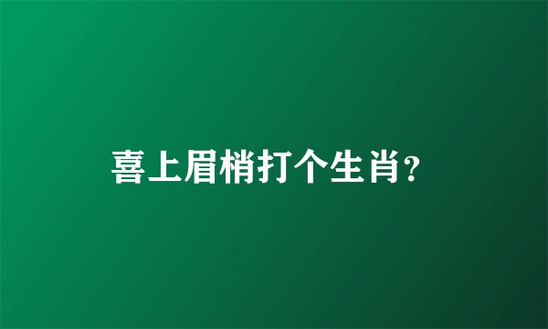 喜上眉梢打个生肖？