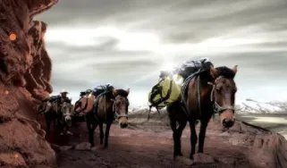 古代“茶马互市”是什么时候兴起的?茶马互换制度是怎么样的?