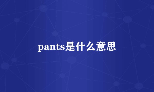 pants是什么意思