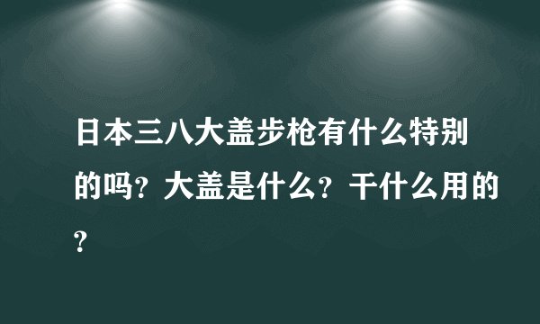 日本三八大盖步枪有什么特别的吗？大盖是什么？干什么用的？