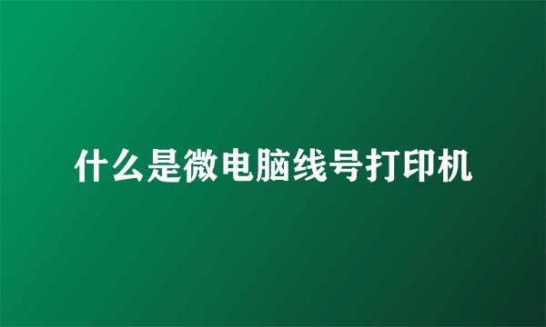什么是微电脑线号打印机