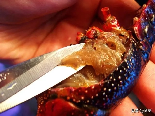 怎样才能吃到最优质的小龙虾？
