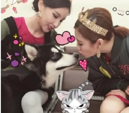 王思聪怒怼过的明星有哪些？