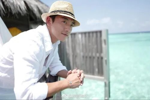 郑恺控股公司被强制执行,执行金额3300万元,究竟为何被强制执行?