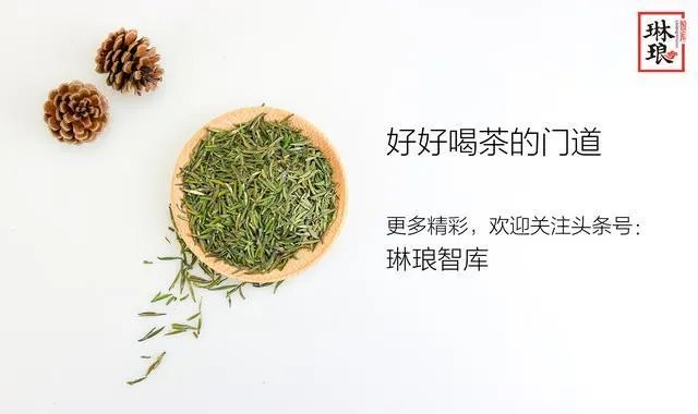 有口臭口气应该喝什么茶