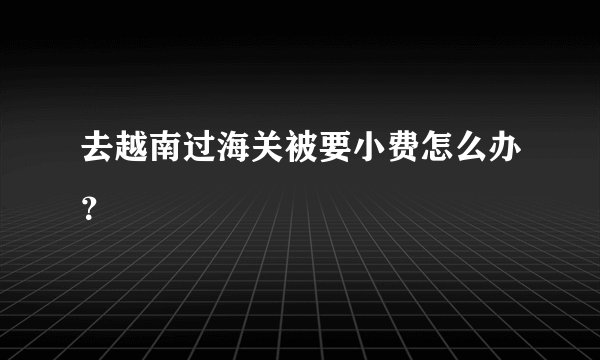 去越南过海关被要小费怎么办？