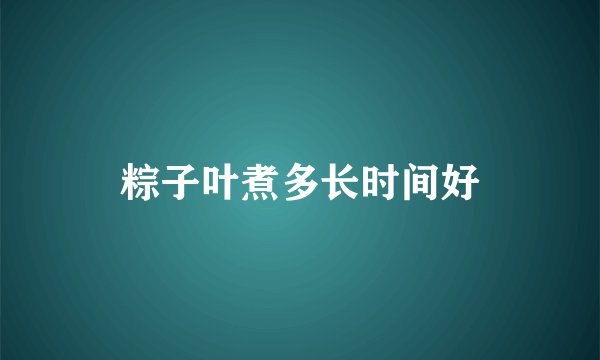 粽子叶煮多长时间好