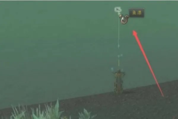 钳子先生的魔法龙虾盒在哪钓的``高手指点下