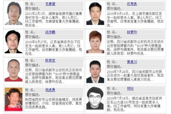 人在犯了什么罪名才会被网上通缉