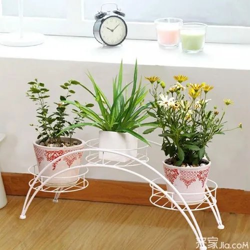 如何自制花盆架 花盆架制作工具及过程