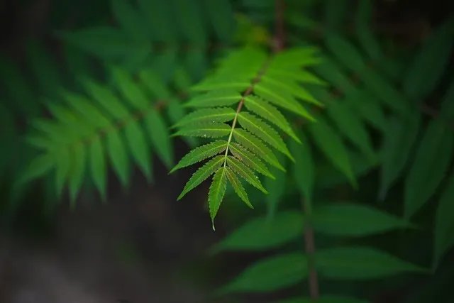 【每日摄影】8699元的尼康Z5全画幅微单相机值得买吗？