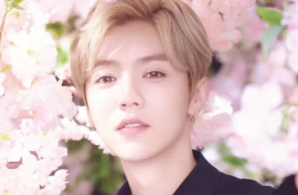 鹿晗称“化妆不分性别”，男人化妆是美丽的错误吗?