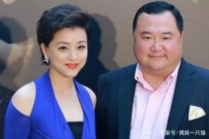 杨澜的老公是谁