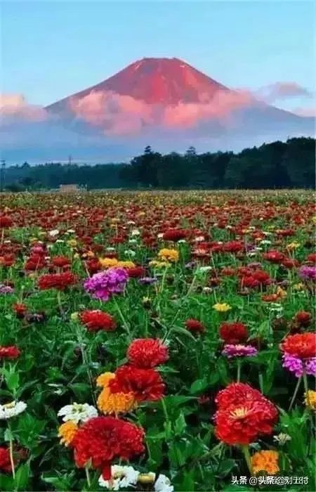 今年春晚你们有什么期待的吗?比如说赵本山会上吗?