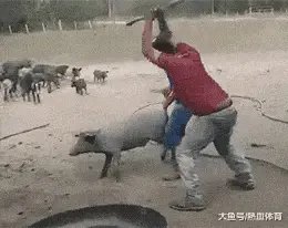 山西临汾市的饭店坍塌,有什么最新消息吗?