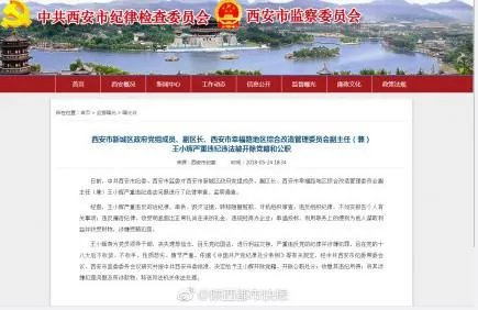 王小辉因何被双开了？