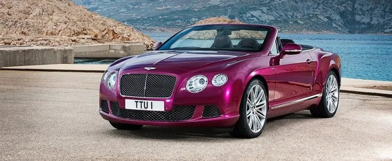 自选车牌号有几次机会,车辆自选号牌可以选几次