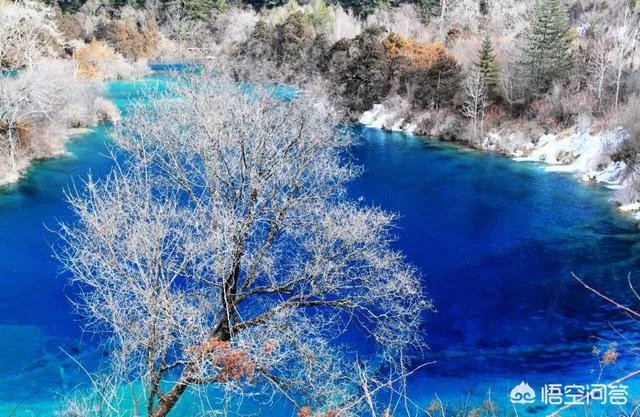 冬天国内旅游去哪些地方好？