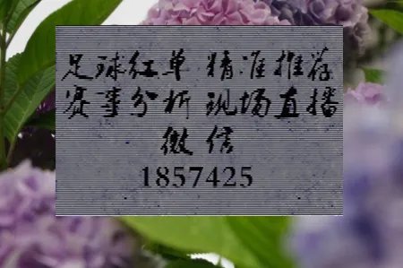 今晚2020欧洲杯总决赛直播几点开始？体育频道有吗？
