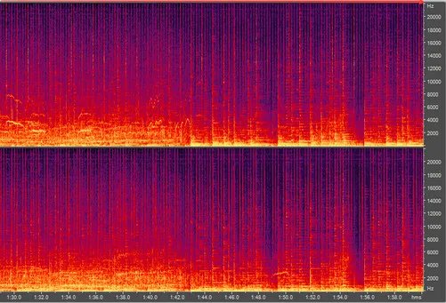 音质都一样? 4款主流音乐APP盲听对比