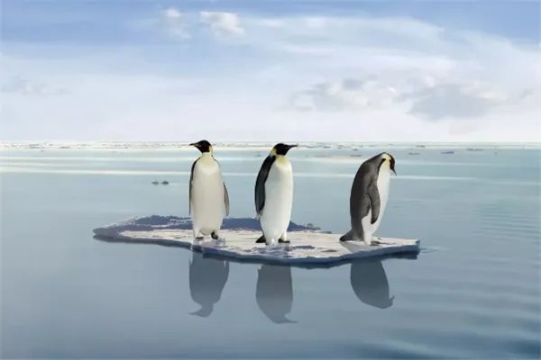 2020年将为有记录以来最暖年份之一,你认为天气变暖的原因都有什么?